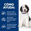 354 g Hill's Prescription Diet Urinary Care c/d Estofado de Pollo y Verduras lata para perros, , large indicador imagen numero 4